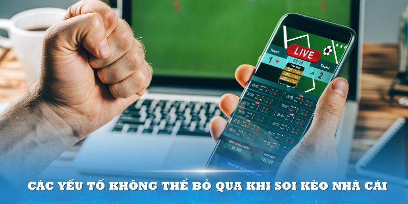 Các yếu tố không thể bỏ qua khi soi kèo nhà cái