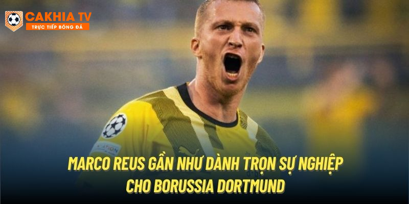 Marco Reus gần như dành trọn sự nghiệp cho Borussia Dortmund