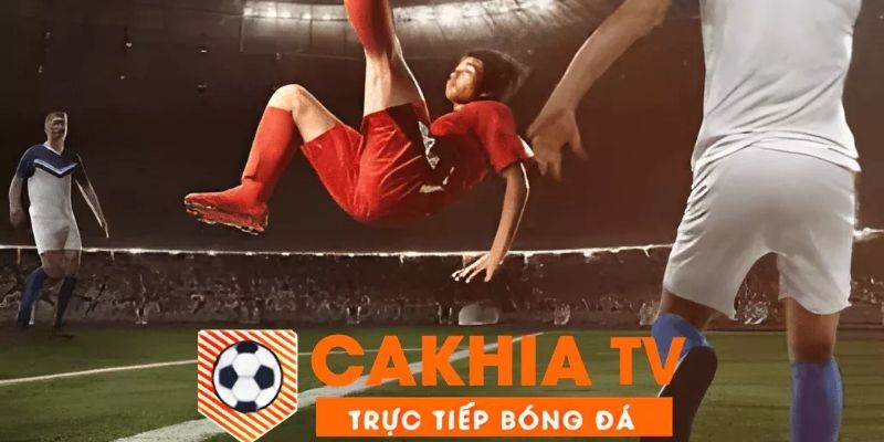 Nội dung chính của điều khoản bản quyền Cakhiatv 2024